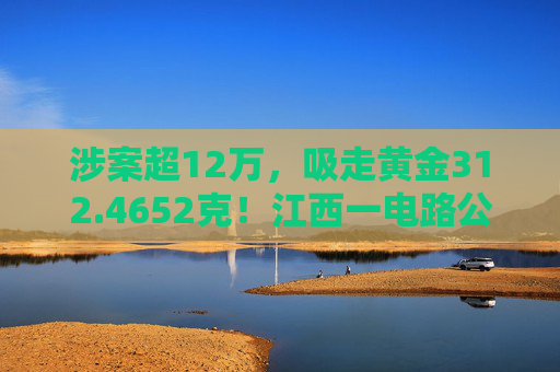 涉案超12万，吸走黄金312.4652克！江西一电路公司员工获刑