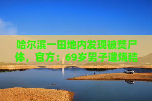 哈尔滨一田地内发现被焚尸体，官方：69岁男子遭烧秸秆烟雾呛晕后死亡