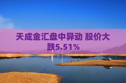 天成金汇盘中异动 股价大跌5.51%