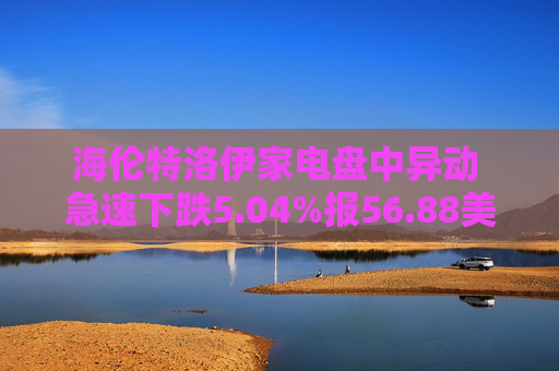 海伦特洛伊家电盘中异动 急速下跌5.04%报56.88美元