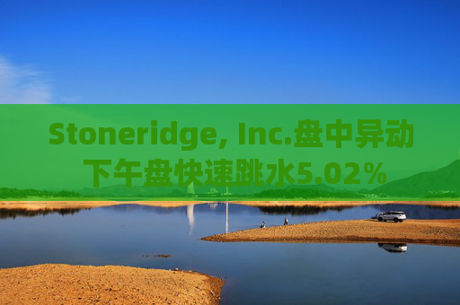 Stoneridge, Inc.盘中异动 下午盘快速跳水5.02%