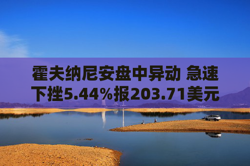 霍夫纳尼安盘中异动 急速下挫5.44%报203.71美元