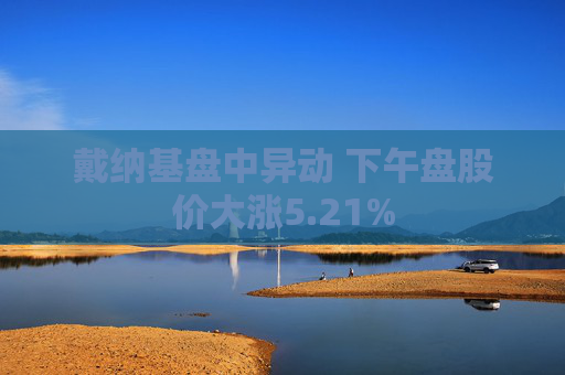 戴纳基盘中异动 下午盘股价大涨5.21%