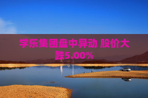 学乐集团盘中异动 股价大跌5.00%