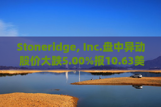 Stoneridge, Inc.盘中异动 股价大跌5.00%报10.63美元