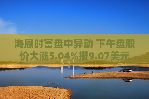 海恩时富盘中异动 下午盘股价大涨5.04%报9.07美元