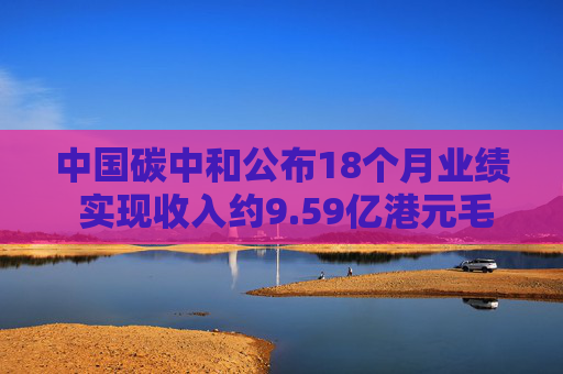 中国碳中和公布18个月业绩 实现收入约9.59亿港元毛利4990.5万港元