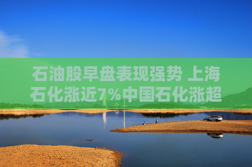 石油股早盘表现强势 上海石化涨近7%中国石化涨超5%