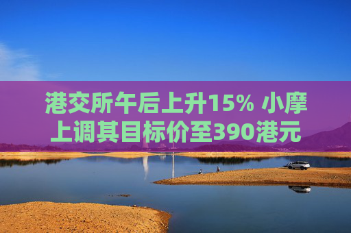 港交所午后上升15% 小摩上调其目标价至390港元