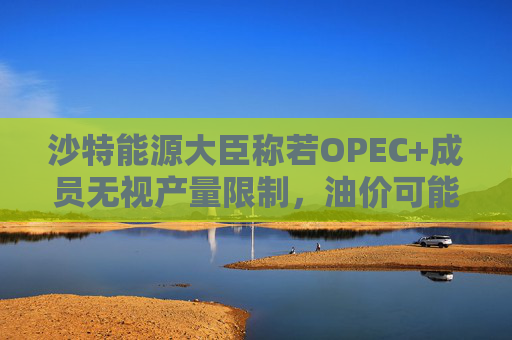 沙特能源大臣称若OPEC+成员无视产量限制，油价可能跌至50美元