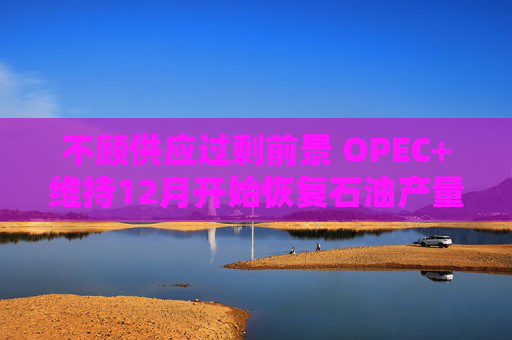 不顾供应过剩前景 OPEC+维持12月开始恢复石油产量的计划