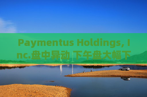 Paymentus Holdings, Inc.盘中异动 下午盘大幅下跌5.00%