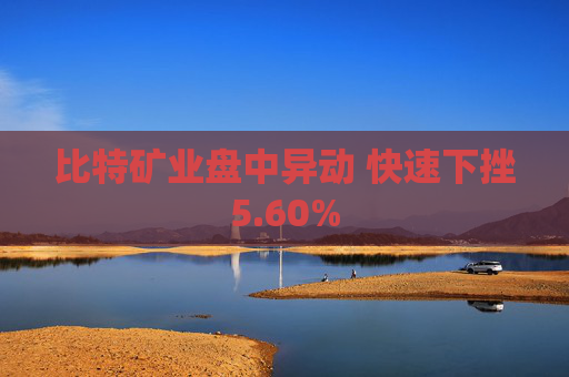 比特矿业盘中异动 快速下挫5.60%