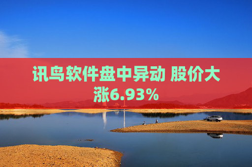 讯鸟软件盘中异动 股价大涨6.93%