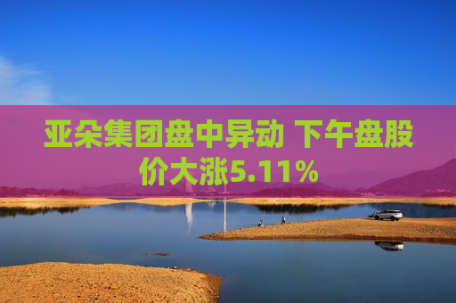 亚朵集团盘中异动 下午盘股价大涨5.11%