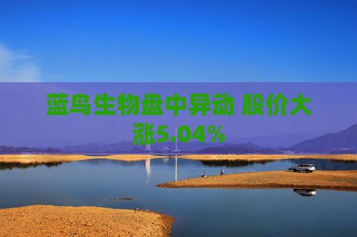 蓝鸟生物盘中异动 股价大涨5.04%