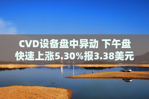 CVD设备盘中异动 下午盘快速上涨5.30%报3.38美元