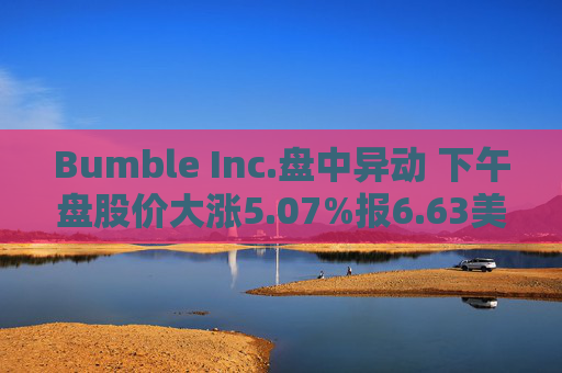 Bumble Inc.盘中异动 下午盘股价大涨5.07%报6.63美元