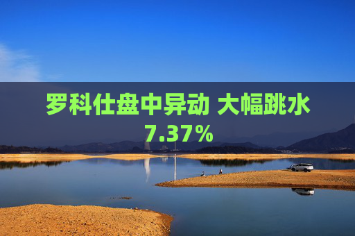 罗科仕盘中异动 大幅跳水7.37%