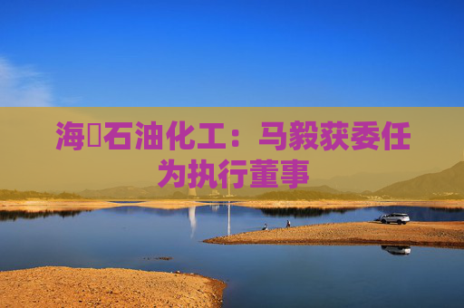 海峽石油化工：马毅获委任为执行董事