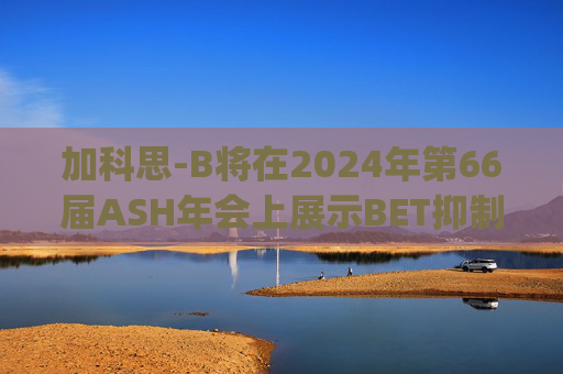 加科思-B将在2024年第66届ASH年会上展示BET抑制剂JAB-8263的临床数据