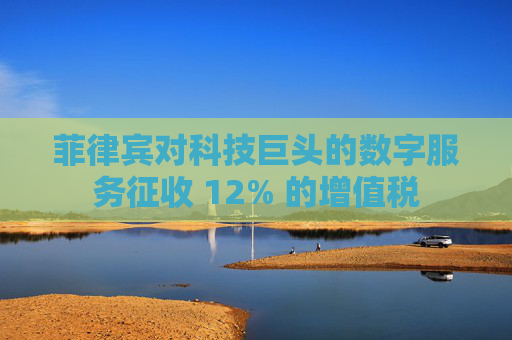 菲律宾对科技巨头的数字服务征收 12% 的增值税