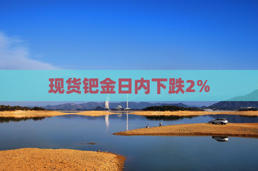 现货钯金日内下跌2%