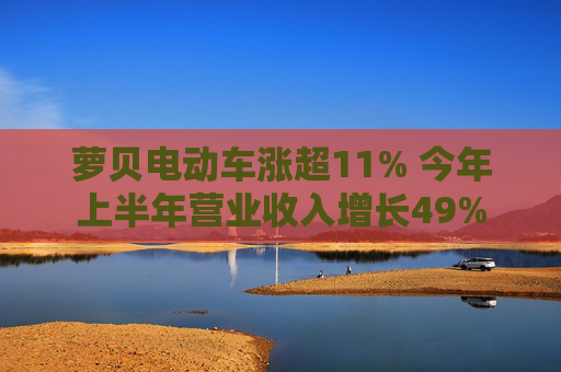 萝贝电动车涨超11% 今年上半年营业收入增长49%